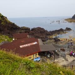 活动模块 