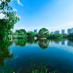活动模块 