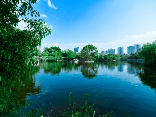 西雙版納八月份旅游_西雙版納報團旅游多少錢_西雙版納游 旅行團
