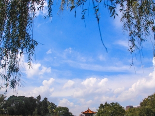 跟团西双版纳旅游报价_西双版纳旅游拍摄_西双版纳新加坡旅游