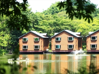 深圳到日本旅游报价_去日本旅游多少_去日本的旅游团