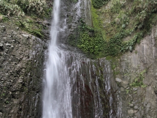 日本旅游报_日本旅游行程安排_年底日本旅游