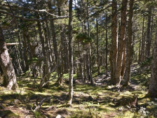 深圳出发欧洲旅游_欧洲旅游六月_欧洲游团