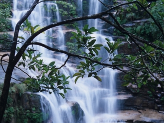 貴州自由行還是跟團(tuán)好_去貴州旅游要多少錢_報(bào)團(tuán)去貴州多少錢
