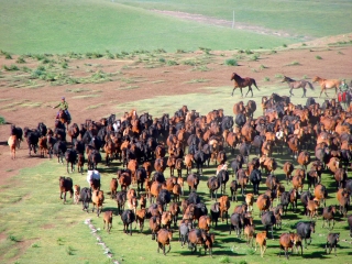 甘肅蘭州游 旅行團(tuán)_甘肅蘭州旅行團(tuán)旅游報(bào)價(jià)_現(xiàn)在去甘肅蘭州旅游多少錢