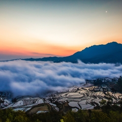 景点模块 