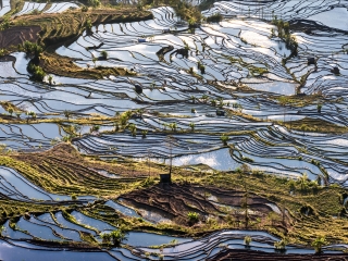 云南普者黑旅行團旅游報價_云南普者黑九月旅游_去云南普者黑游怎么省錢