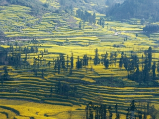 去贵州黄果树-西江-荔波旅游价格多少_去贵州黄果树-西江-荔波旅游包团_去贵州黄果树-西江-荔波旅游公司
