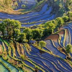 景点模块 