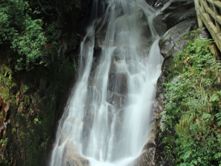 貴州自由行還是跟團(tuán)好_去貴州旅游要多少錢_報(bào)團(tuán)去貴州多少錢