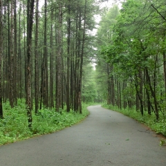 小交通模块 
