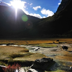 景点模块 