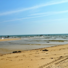 景点模块 