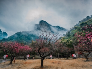张家界9日游价格_张家界旅游深圳_张家界6日游价格