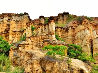 8月云南元陽梯田旅游_云南元陽梯田旅游團報價2021_2021年云南元陽梯田旅游團報價