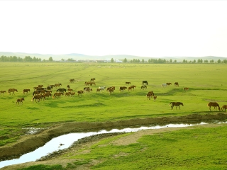 呼倫貝爾旅游跟團(tuán)多少錢(qián)_呼倫貝爾游 旅行團(tuán)_呼倫貝爾私人定制旅游