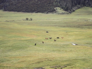 云南香格里拉最佳旅游路線_暑假云南香格里拉游價格
