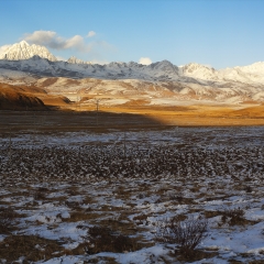 景点模块 