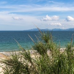 小交通模块 