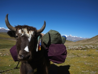 云南麗江自由行旅游團(tuán)_云南麗江自由行費(fèi)用_云南麗江游特價團(tuán)