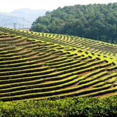 小交通模块 
