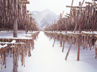 2021年泰國(guó)普吉島旅游團(tuán)報(bào)價(jià)_泰國(guó)普吉島旅游花費(fèi)一般多少_泰國(guó)普吉島特價(jià)旅游團(tuán)報(bào)價(jià)