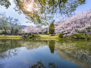 華東旅行團(tuán)_華東游報價_華東旅游要多少錢2021