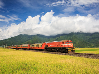 廈門(mén)鼓浪嶼旅游價(jià)格多少跟團(tuán)_到廈門(mén)鼓浪嶼旅游多少錢(qián)_廈門(mén)鼓浪嶼半自由行