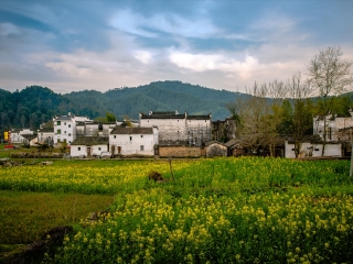 江西廬山報團(tuán)多少錢_去江西廬山游怎么省錢_江西廬山游組團(tuán)