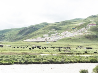 组团去成都_去成都游价格_成都旅游报