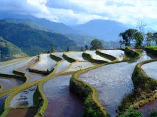 报团旅游昆明_昆明几日跟团旅游_昆明跟团游与自由行