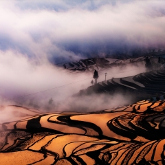 景点模块 