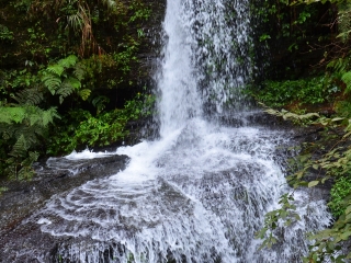 贵州黄果树-西江-荔波旅游要多少钱2023_贵州黄果树-西江-荔波10日游路线_贵州黄果树-西江-荔波旅游苏梅岛