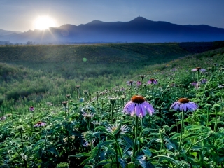 報(bào)團(tuán)去云南香格里拉多少錢_云南香格里拉旅游團(tuán)_國(guó)慶云南香格里拉游價(jià)格