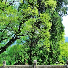 景点模块 