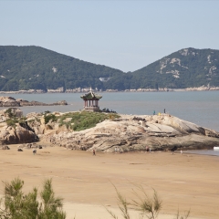 活动模块 
