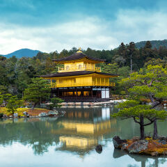 小交通模块 