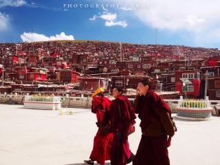 云南香格里拉自由行還是跟團(tuán)好_去云南香格里拉旅游要多少錢(qián)_去云南香格里拉旅游多少錢(qián)