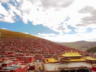 成都游跟团费用_成都旅游那里去_成都七日游抱团