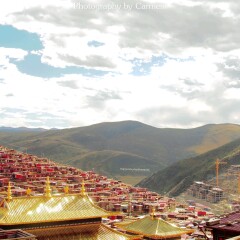 景点模块 