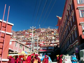 成都游跟团费用_成都旅游那里去_成都七日游抱团