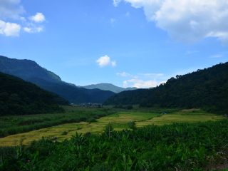 云南西雙版納旅游一次多少錢_云南西雙版納旅游團(tuán)_到云南西雙版納旅游多少錢