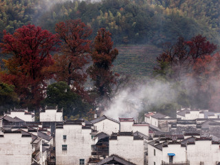 江西婺源游跟團(tuán)多少錢_江西婺源游組團(tuán)_深圳到江西婺源旅游報價