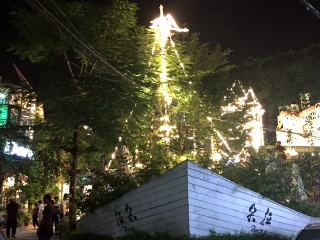 廈門鼓浪嶼自由行費用_廈門鼓浪嶼旅游路線_廈門鼓浪嶼游 旅行團