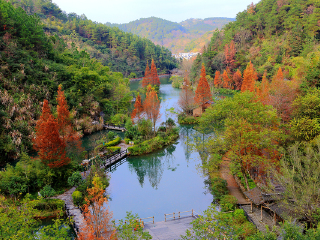 桂林陽(yáng)朔旅游價(jià)格多少跟團(tuán)_桂林陽(yáng)朔旅游報(bào)價(jià)_8月桂林陽(yáng)朔旅游