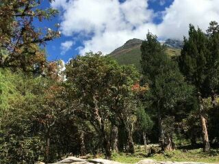 去成都7天旅游_成都特价旅游团报价_报团旅游成都