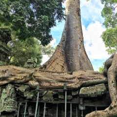景点模块 