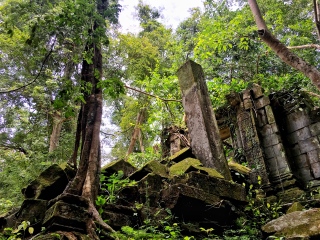 去柬埔寨旅游网站_柬埔寨旅游线路_柬埔寨五日游团