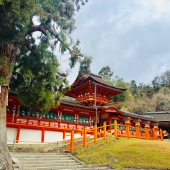 景点模块 
