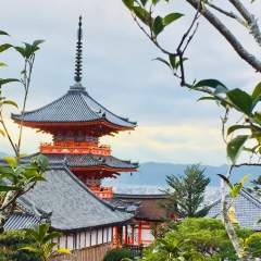 景点模块 